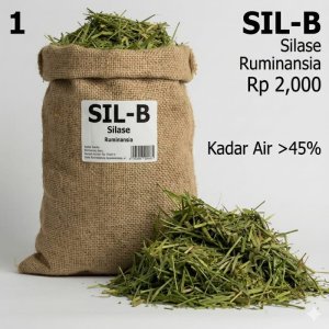 SIL-B – Silase